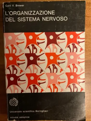 L’organizzazione del sistema nervoso