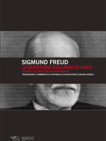 La questione dell'analisi laica. Conversazione con un imparziale